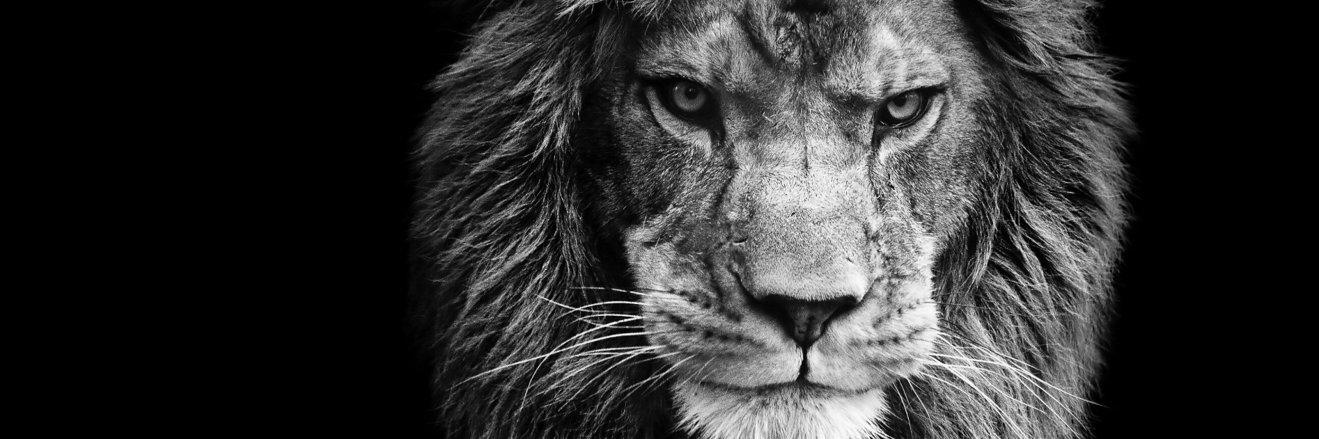 SecureDataTech banner