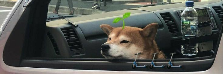 🔞 Akillo ✨COMMS OPEN✨ banner