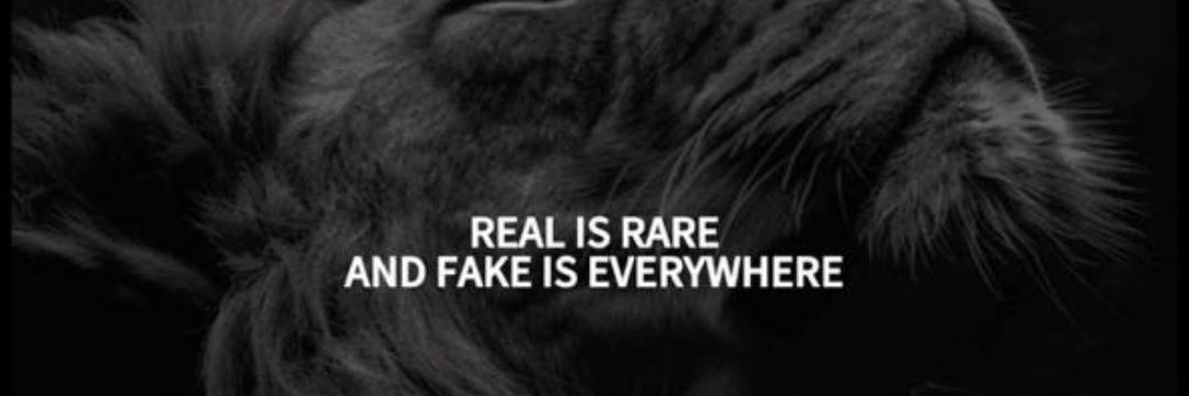 Janet™'s banner