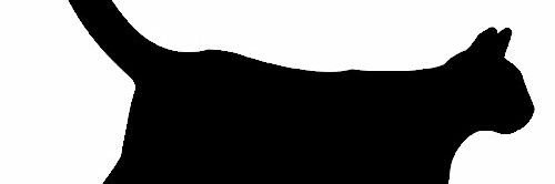 LeiraIsa's profile banner image