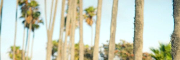 HallieDaily's profile banner image