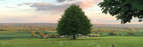 BeeNguyenBN2011 Profile Banner