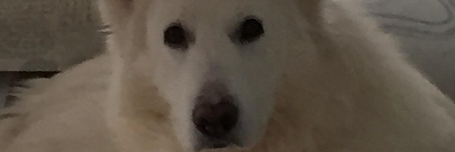 trukav's profile banner image