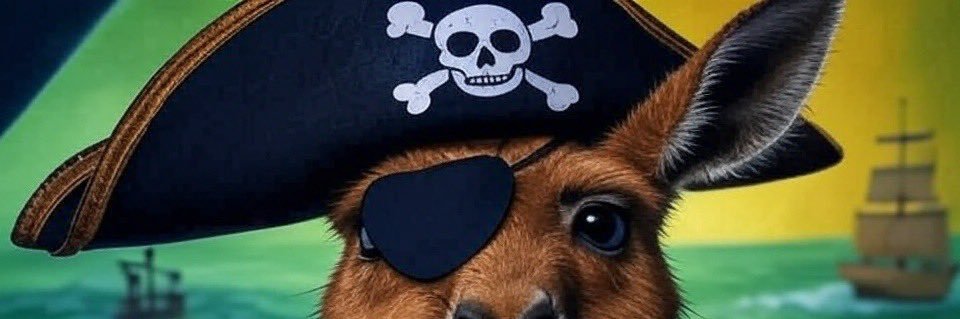 🇦🇺 DD 🇩🇰 banner