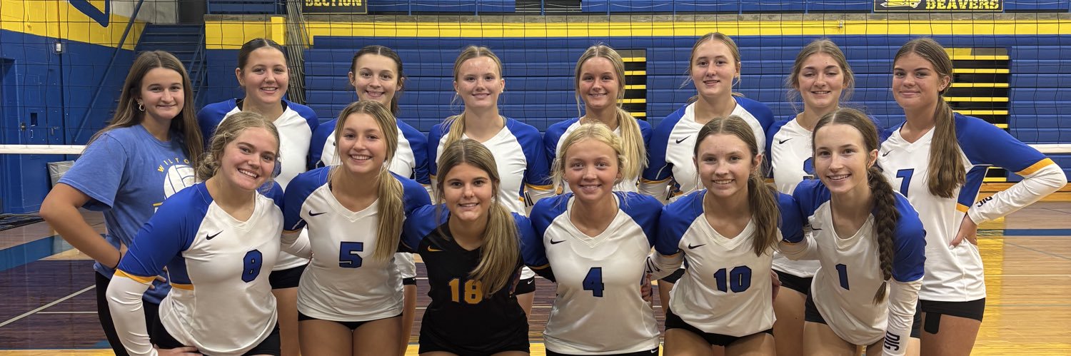 Wilton Volleyball banner