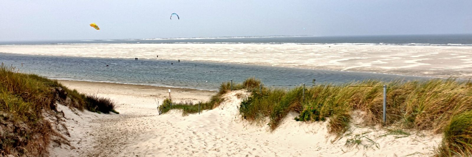 нαппα σ'нαναпα banner