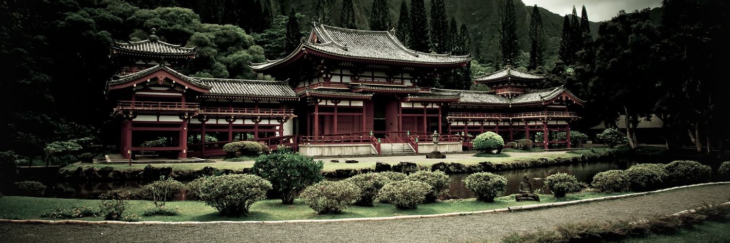 a_boy_named_Camelo banner