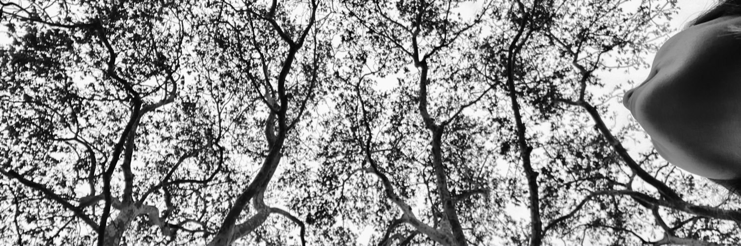 martabelenvera's profile banner image
