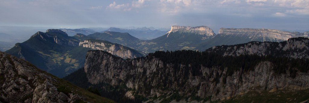 Martin Delacoux banner