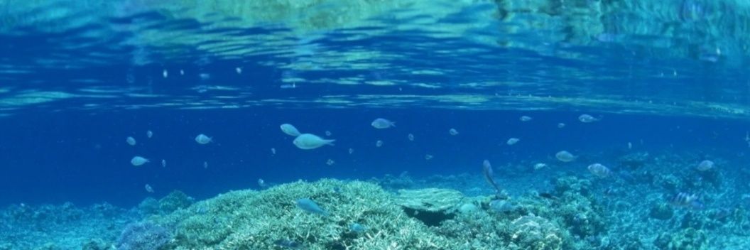 Kristinyych's profile banner image