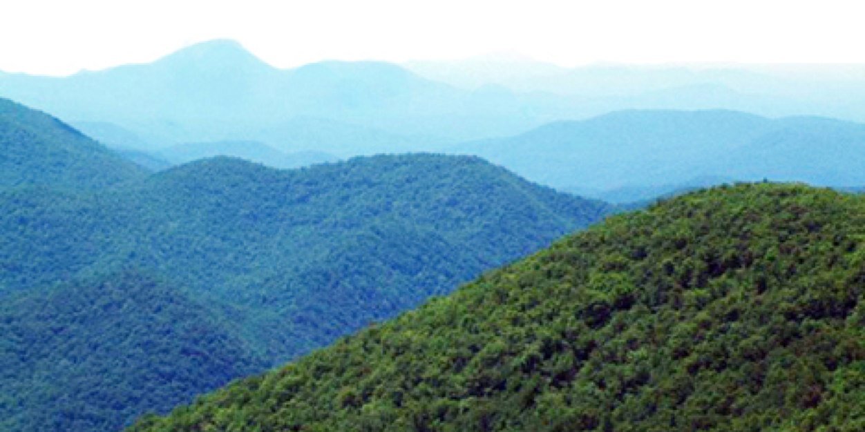 FSTLP's profile banner image