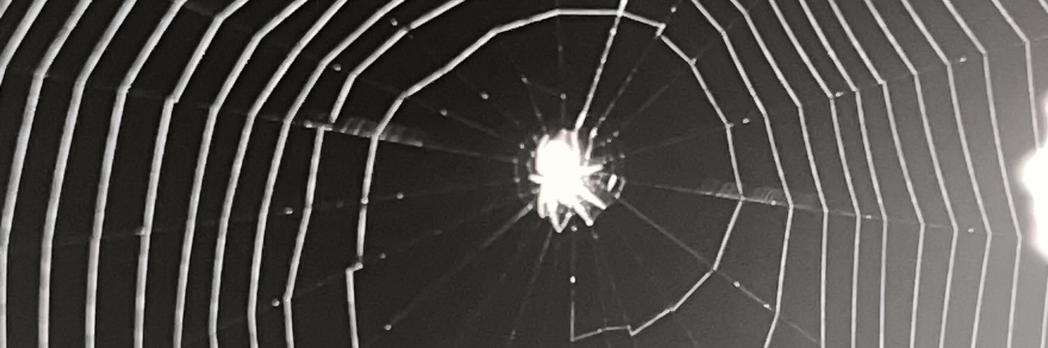 supercat1204's profile banner image