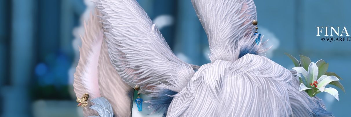 subP526's profile banner image