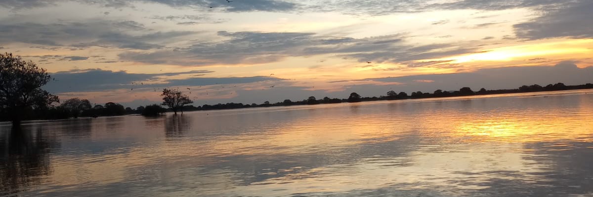 CarlosAnd8611's profile banner image