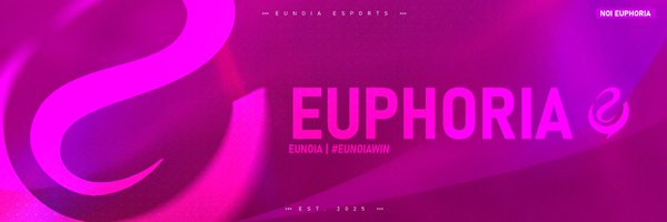 NOIeuphoria Profile Banner