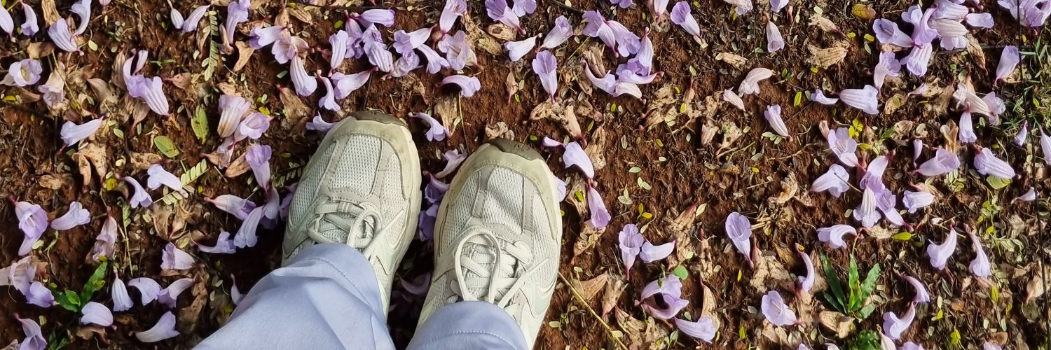 diananeeh's profile banner image