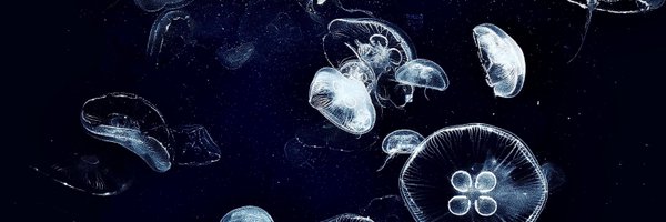 _eil21 Profile Banner