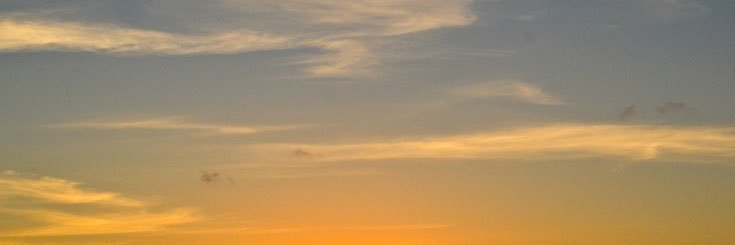 شذى banner
