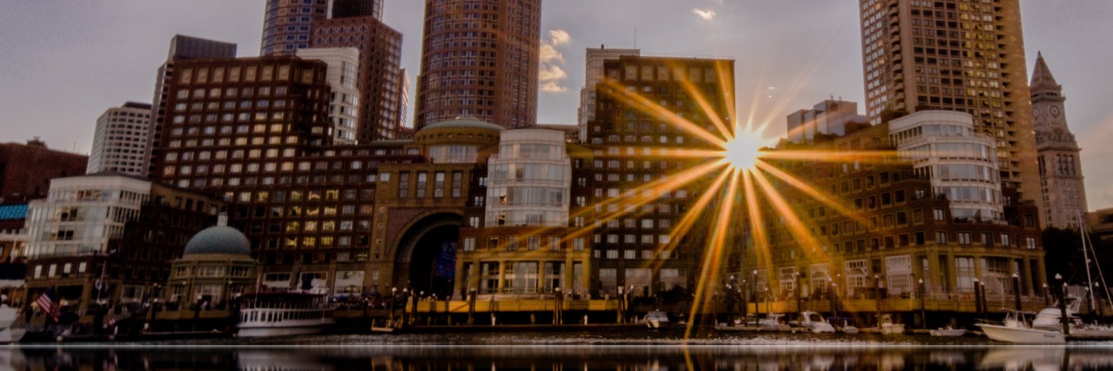 sallycooper's profile banner image