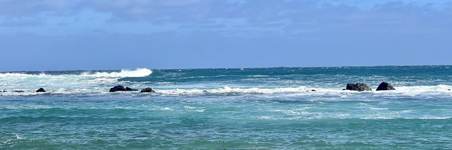 Janey V Cooksley banner