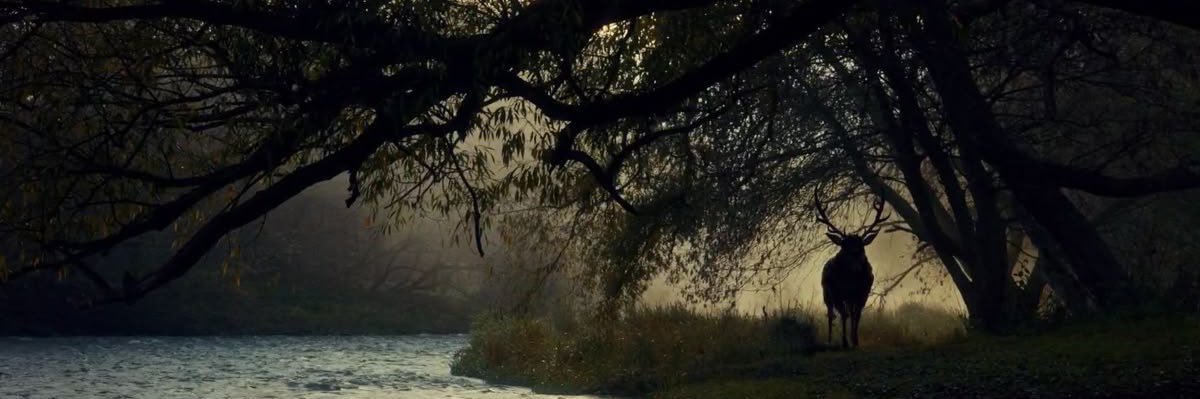em 𐙚's banner