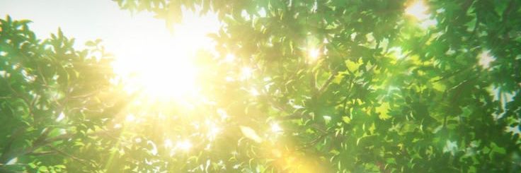 ࣪ banner