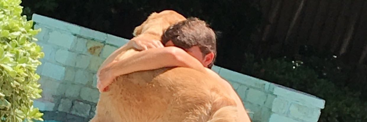 itkoff's profile banner image
