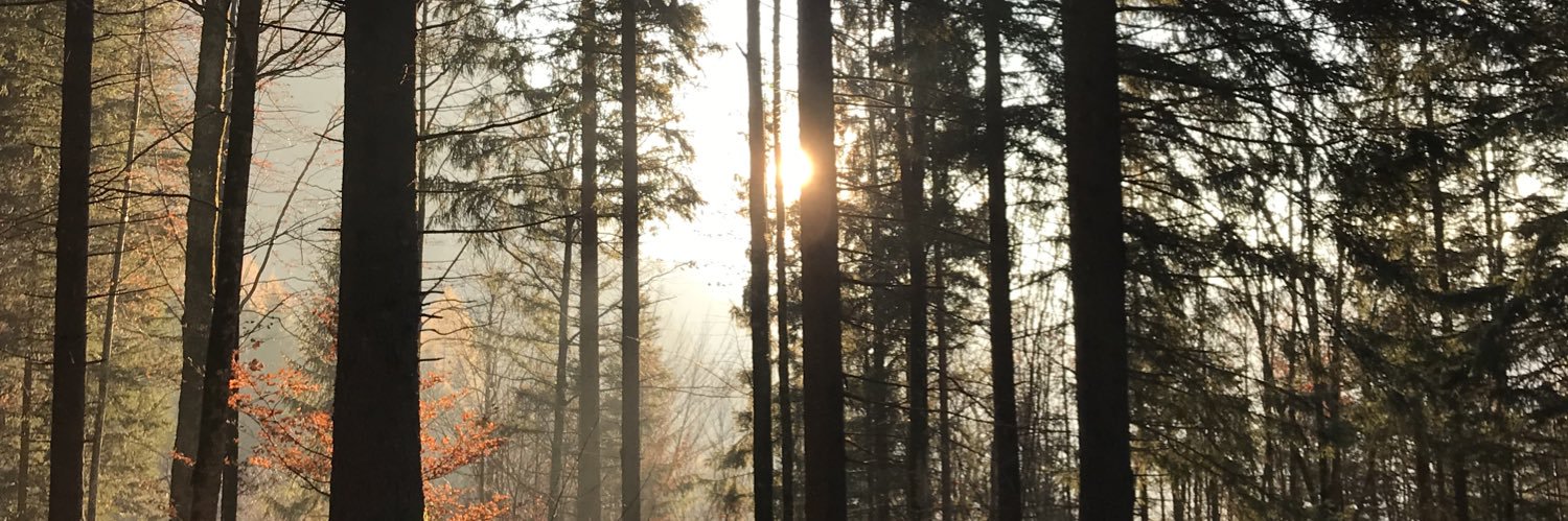 alyssabomek's profile banner image