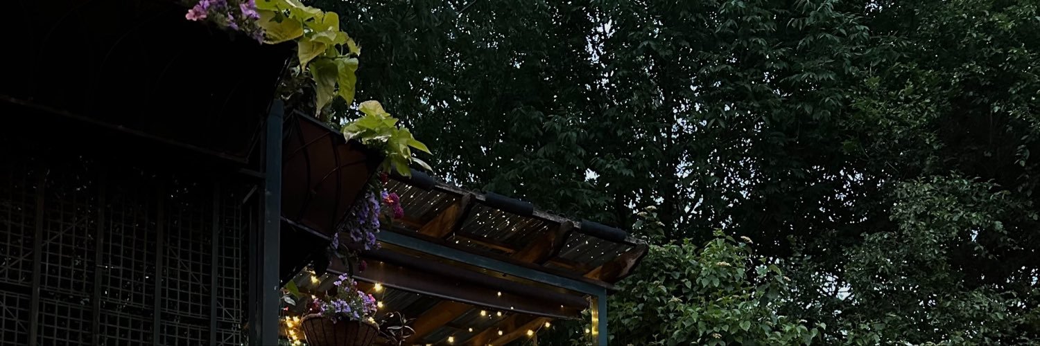 soph_kroll's profile banner image