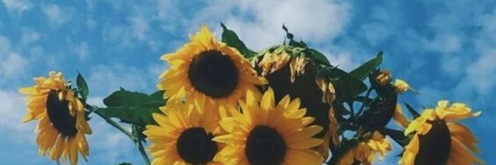 Joecurie_'s profile banner image