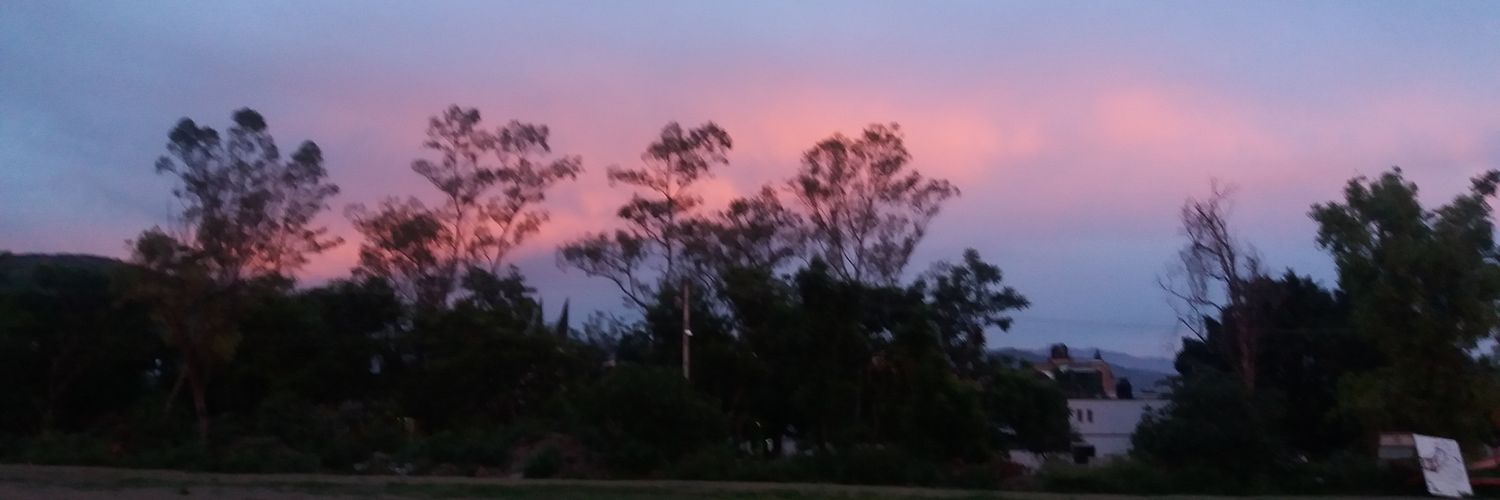 licPauPacheco's profile banner image