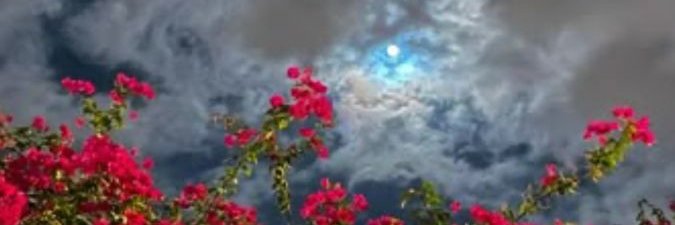 ☆ banner