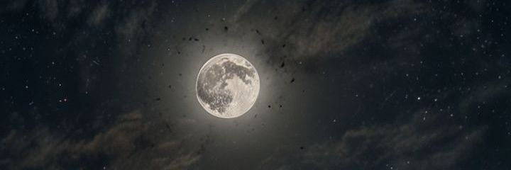 Tubkay5's profile banner image