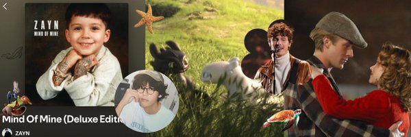 amandffn Profile Banner