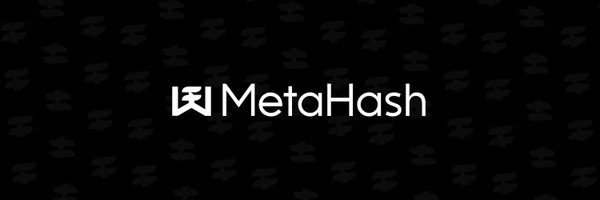 MetaHashSn73 Profile Banner