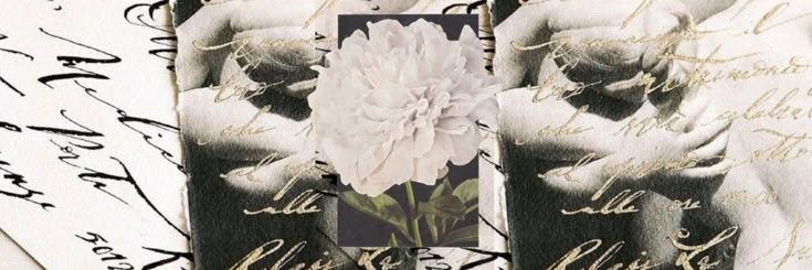 𝖠𝗍𝗁𝖾𝗇𝖾𝖺 banner