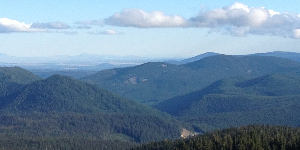 Lauren Nicole banner