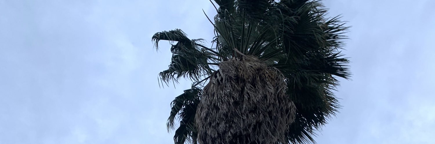safe9041's profile banner image
