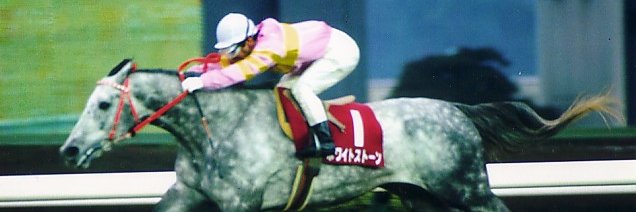 アンダルシア banner