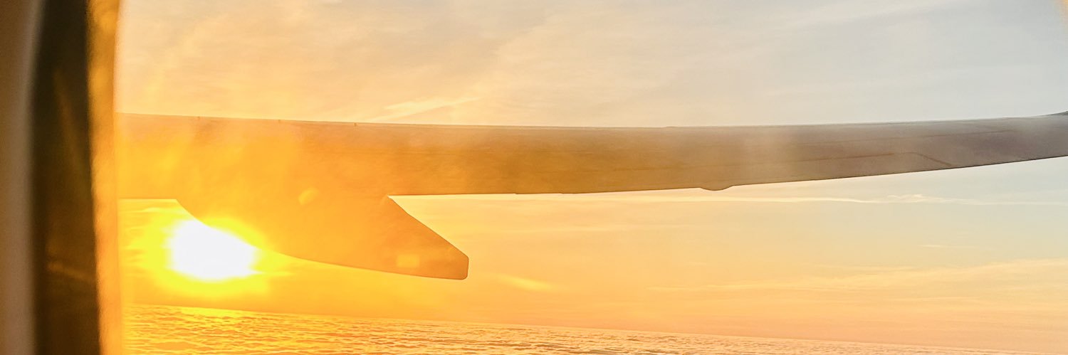 daisiesxcait's profile banner image