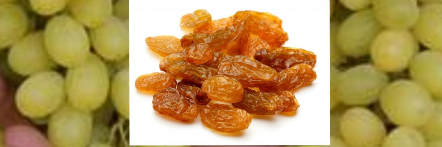 inamullah_20's profile banner image