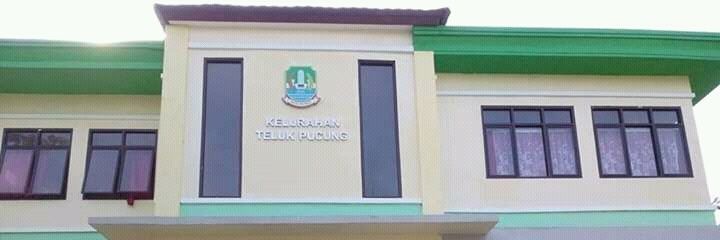 Telukpucung's profile banner image