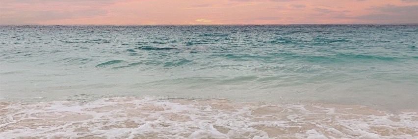 M🦋 banner