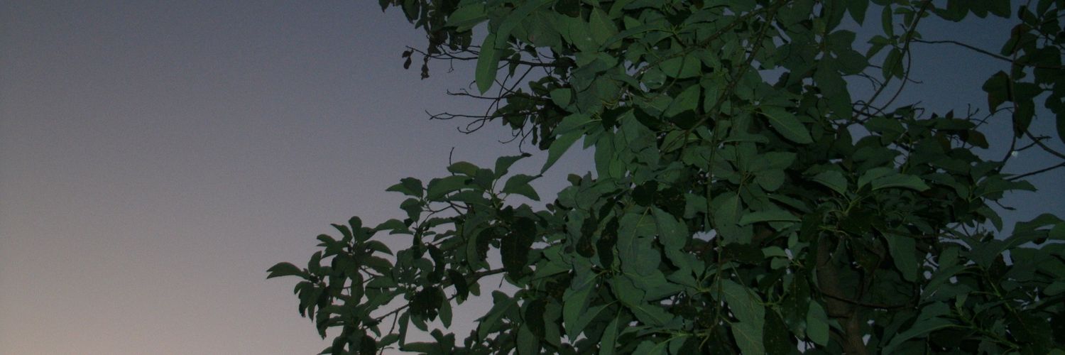 luansergio686's profile banner image