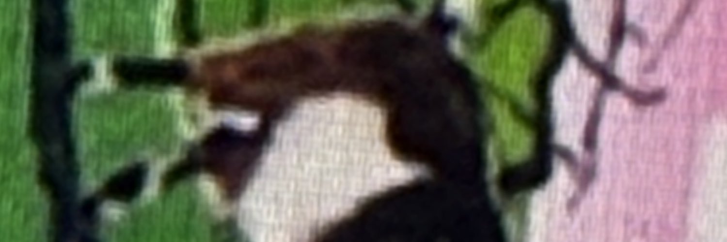 MovieSpy27 banner