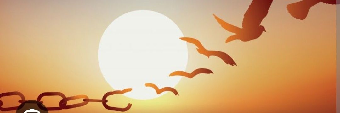 VClouds555's profile banner image