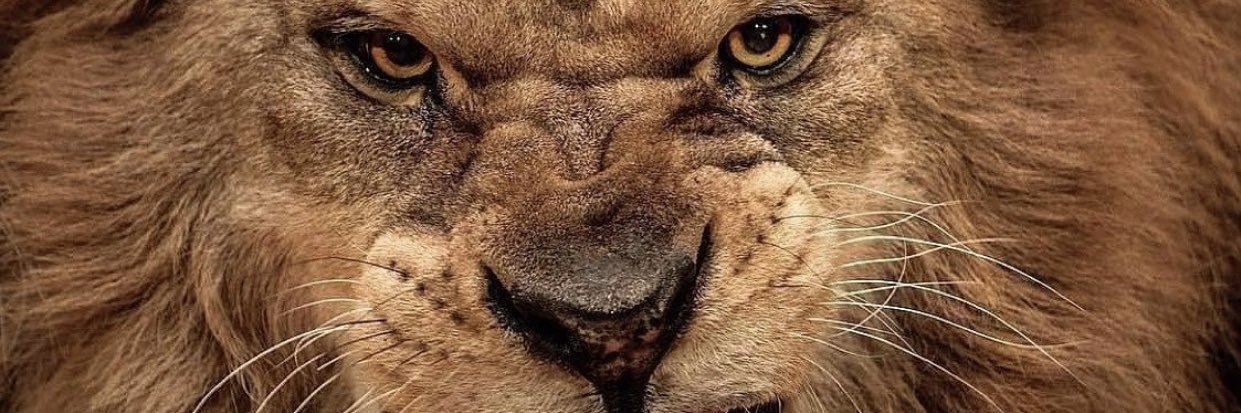 young_Mman's profile banner image