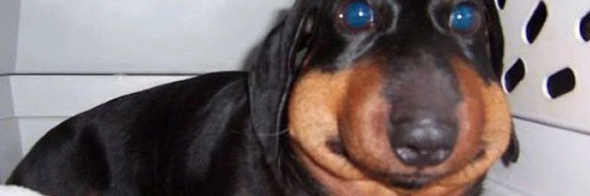 colbyisstraight's profile banner image