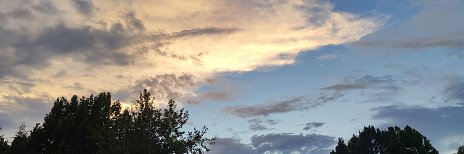 🐱 banner