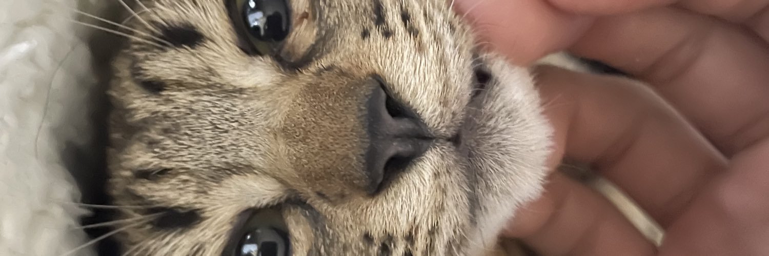 modgod12w's profile banner image
